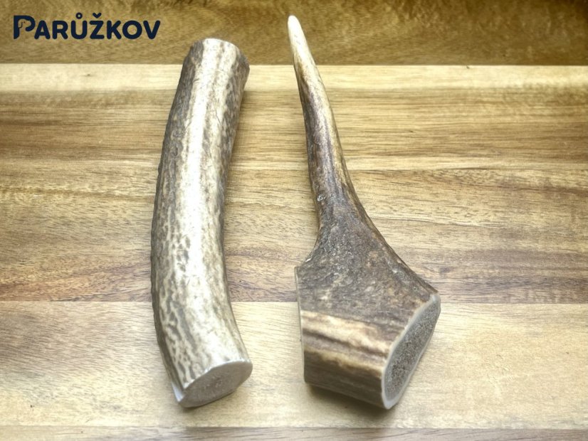 JELENÍ PAROHY - Duo (16 cm)