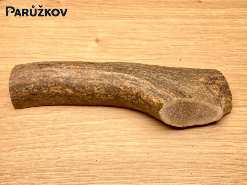 JELENÍ PAROHY - Půlený (13 cm)