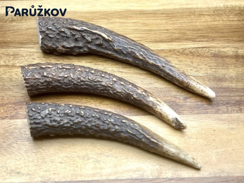 JELENÍ PAROHY - Trio, Rohy (14 cm)