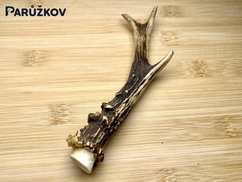 SRNČÍ PAROHY (17 cm)