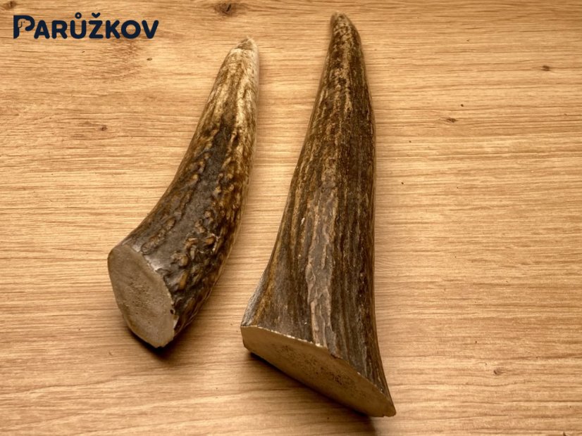 JELENÍ PAROHY - Duo - rohy (18 cm)