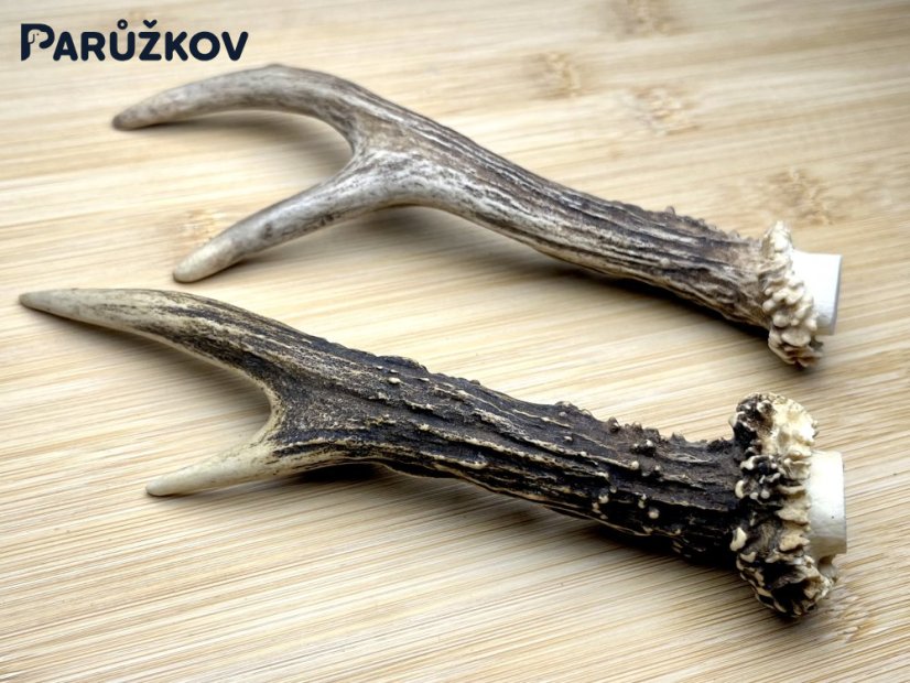 SRNČÍ PAROHY - Duo (17 cm)