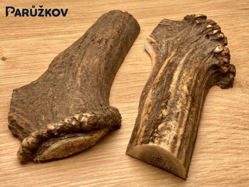 JELENÍ PAROHY - Duo - půlené (13 cm)