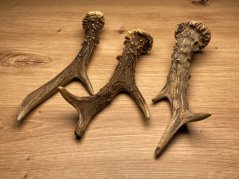 SRNČÍ PAROHY - Trio (19 cm)