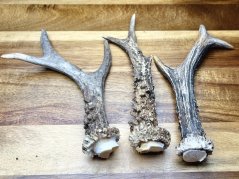 SRNČÍ PAROHY - Trio (17,5 cm)