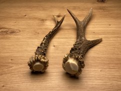 SRNČÍ PAROHY - Duo (21 cm)