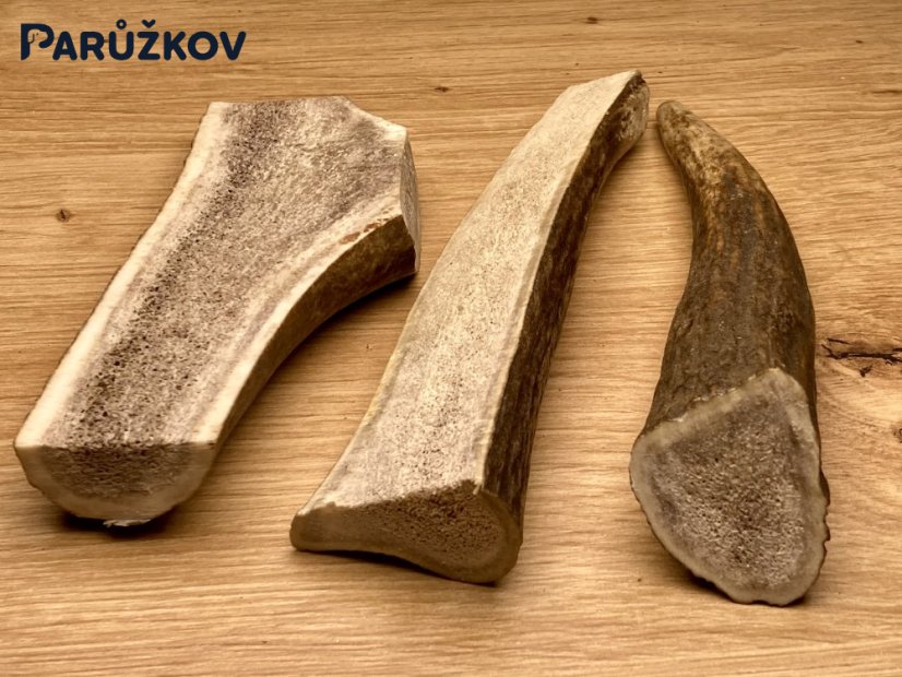 JELENÍ PAROHY - Trio - mix (14 cm)