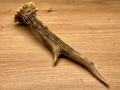 SRNČÍ PAROHY (20 cm)