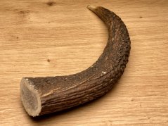 JELENÍ PAROHY - Roh (15 cm)