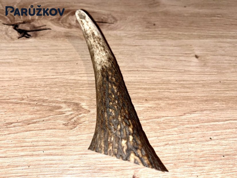 JELENÍ PAROHY - Roh (13 cm)