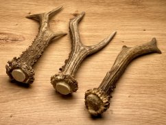 SRNČÍ PAROHY - Trio (18 cm)