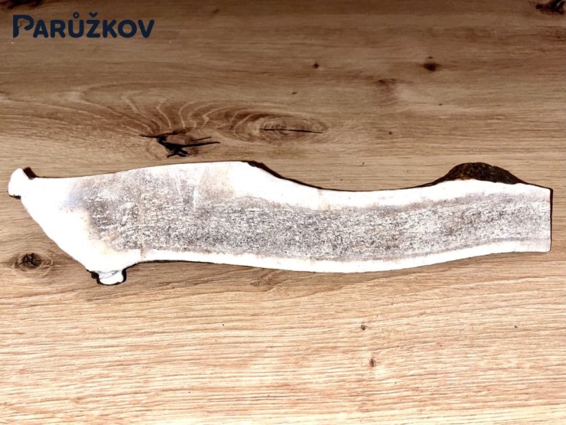 JELENÍ PAROHY - Půlený (25 cm)