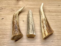 JELENÍ PAROHY - Trio - rohy (12 cm)