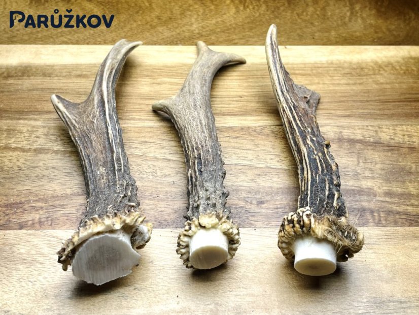 SRNČÍ PAROHY - Trio (15 cm)