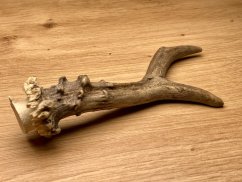 SRNČÍ PAROHY (16 cm)