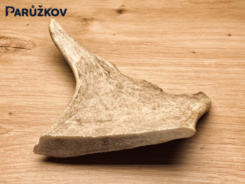DANČÍ PAROHY (17 cm)