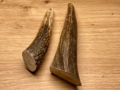 JELENÍ PAROHY - Duo - rohy (18 cm)