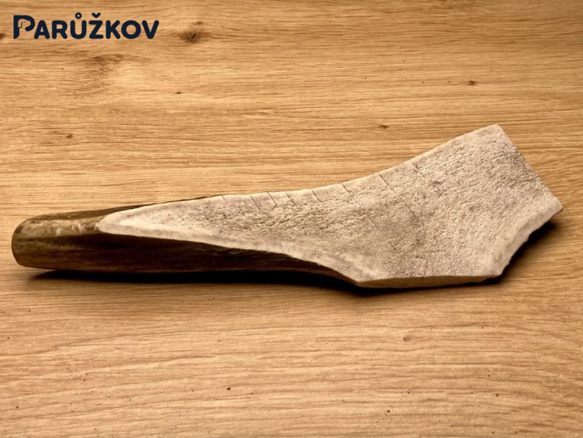 JELENÍ PAROHY - Půlený (17 cm)