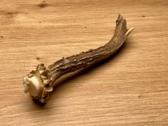 SRNČÍ PAROHY (14 cm)