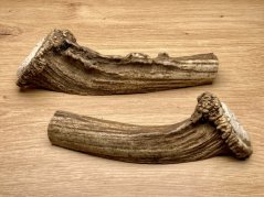 DANČÍ PAROHY - Duo - půlené (16 cm)