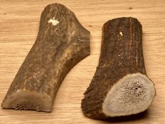 JELENÍ PAROHY - Duo - půlené (11,5 cm)