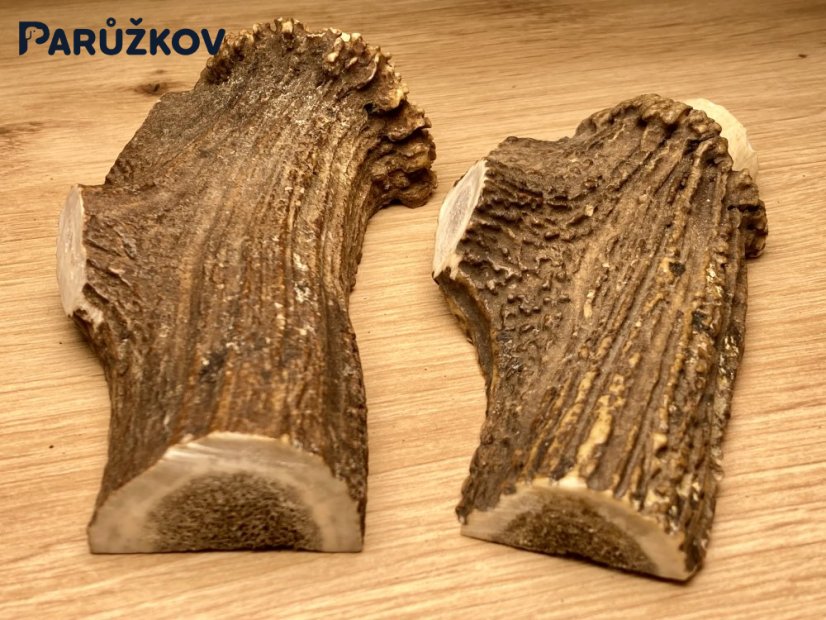 JELENÍ PAROHY - Duo - půlené (15 cm)