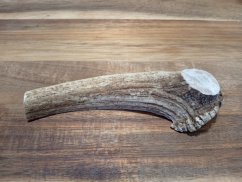 JELENÍ PARŮŽEK PRO PSY - 15 cm - PŮLENÝ