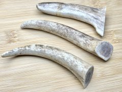 DANČÍ PAROHY - Trio (11 cm)