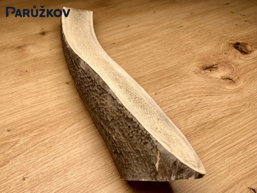 JELENÍ PAROHY - Půlený (27 cm)