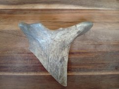 DANČÍ PARŮŽEK PRO PSY - 16 cm