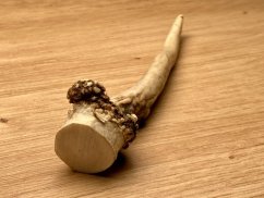 SRNČÍ PAROHY (16 cm)