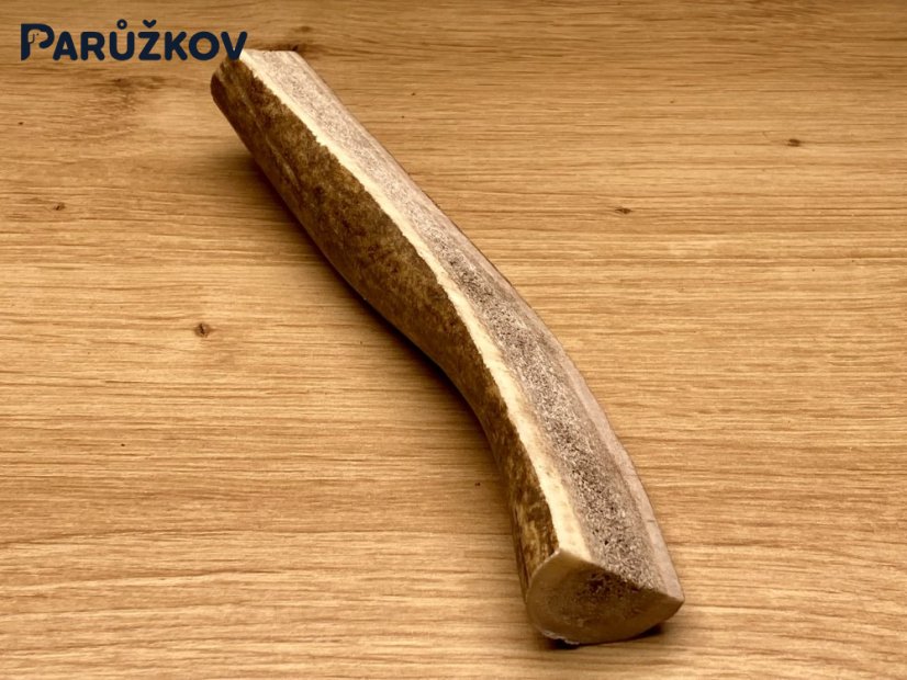 JELENÍ PAROHY - Půlený (16 cm)