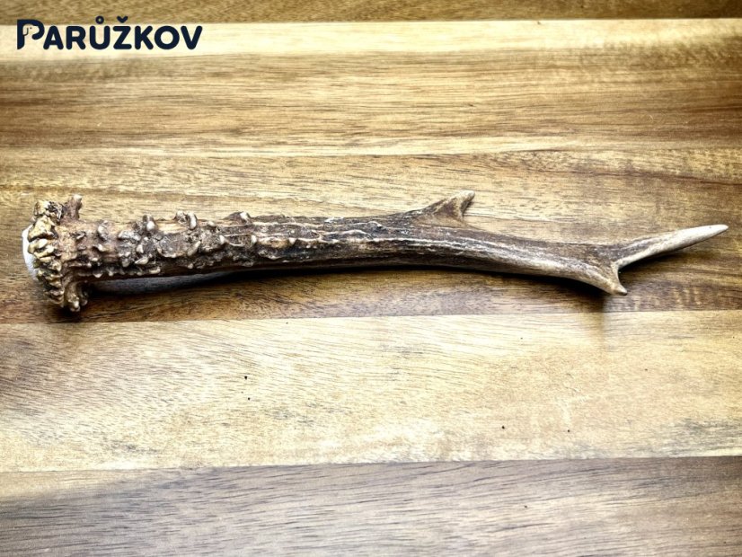 SRNČÍ PAROHY (20 cm)