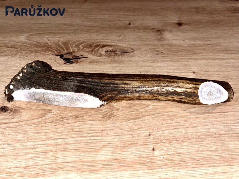 JELENÍ PAROHY - Půlený (25 cm)