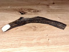 JELENÍ PAROHY - Půlený (23 cm)