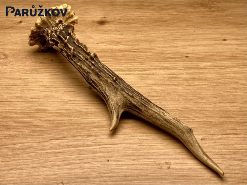 SRNČÍ PAROHY (20 cm)