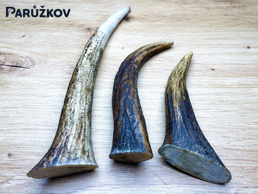 JELENÍ PAROHY - Trio - rohy (19 cm)