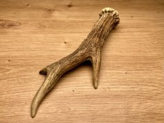 SRNČÍ PAROHY (19 cm)