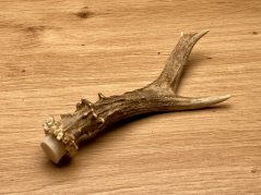 SRNČÍ PAROHY (14 cm)
