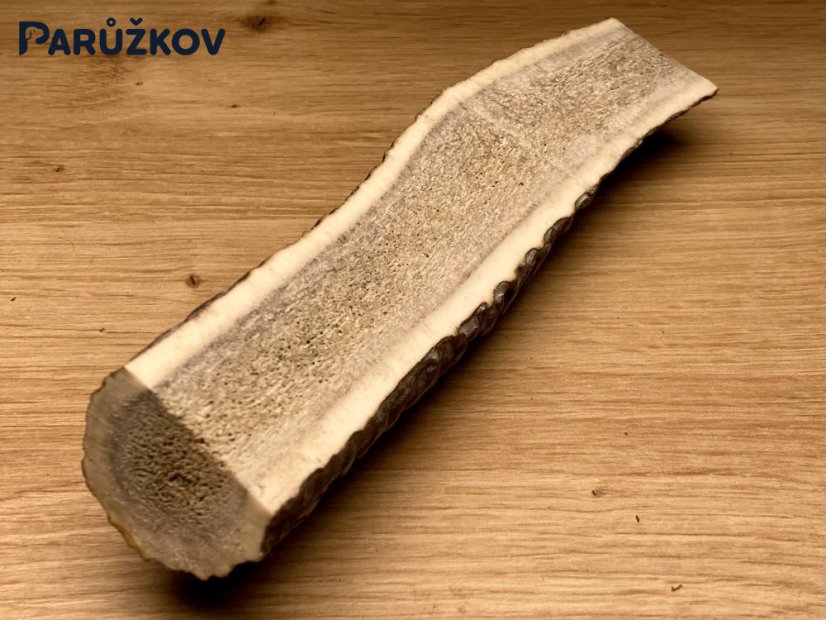 JELENÍ PAROHY - Půlený (17 cm)