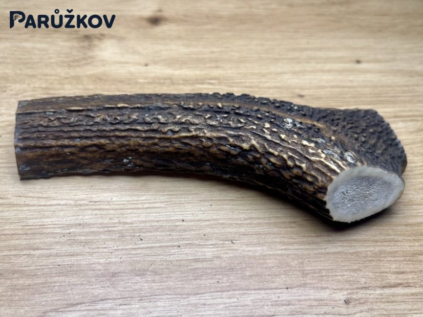JELENÍ PAROHY - Půlený (16 cm)