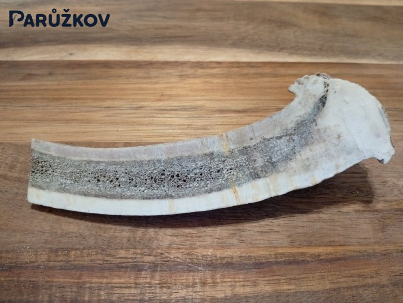 JELENÍ PARŮŽEK PRO PSY - 15 cm - PŮLENÝ