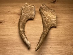 DANČÍ PAROHY - Duo (22 cm)