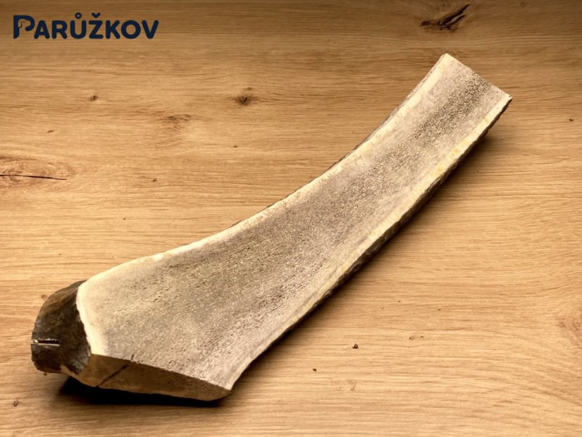 JELENÍ PAROHY - Půlený (24 cm)