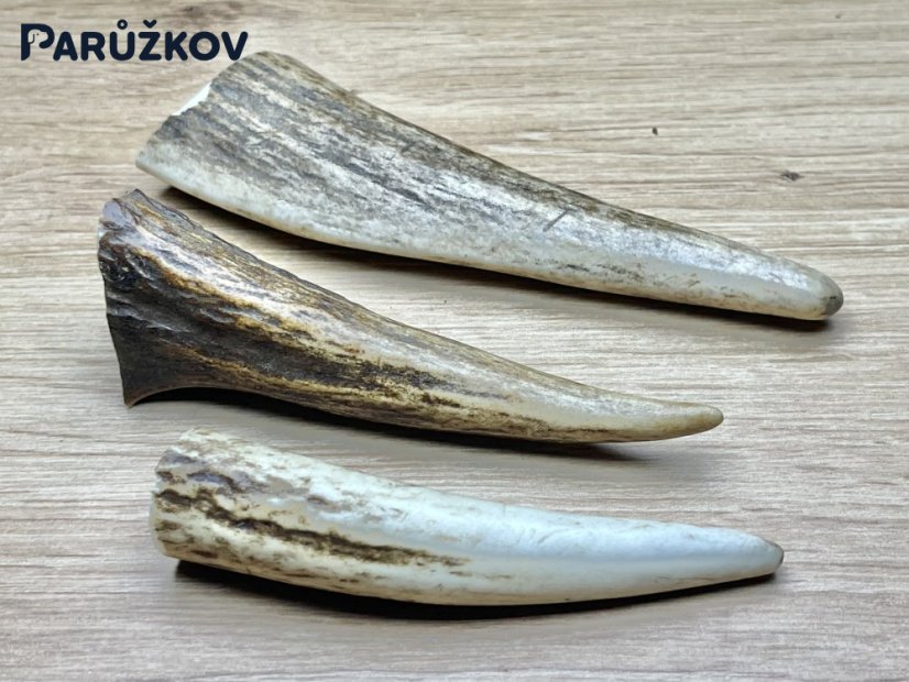 JELENÍ PAROHY - Trio - rohy (11 cm)