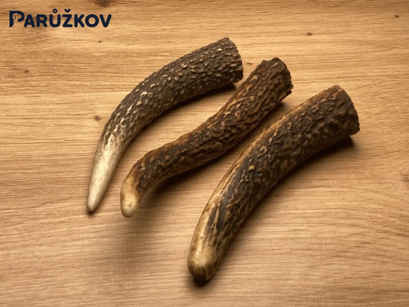 JELENÍ PAROHY - Trio - rohy (13 cm)