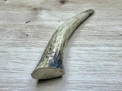 JELENÍ PAROHY - Roh (14 cm)