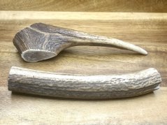 JELENÍ PAROHY - Duo (16 cm)