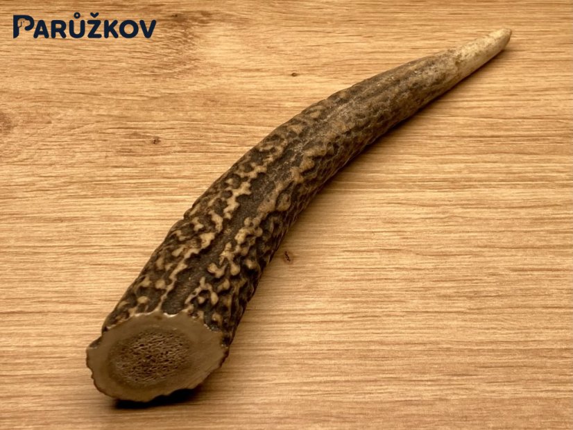 JELENÍ PAROHY - Různé druhy - Velikost: S (40 - 80 g), Typ: Půlený