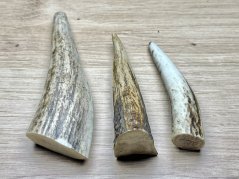 JELENÍ PAROHY - Trio - rohy (11 cm)